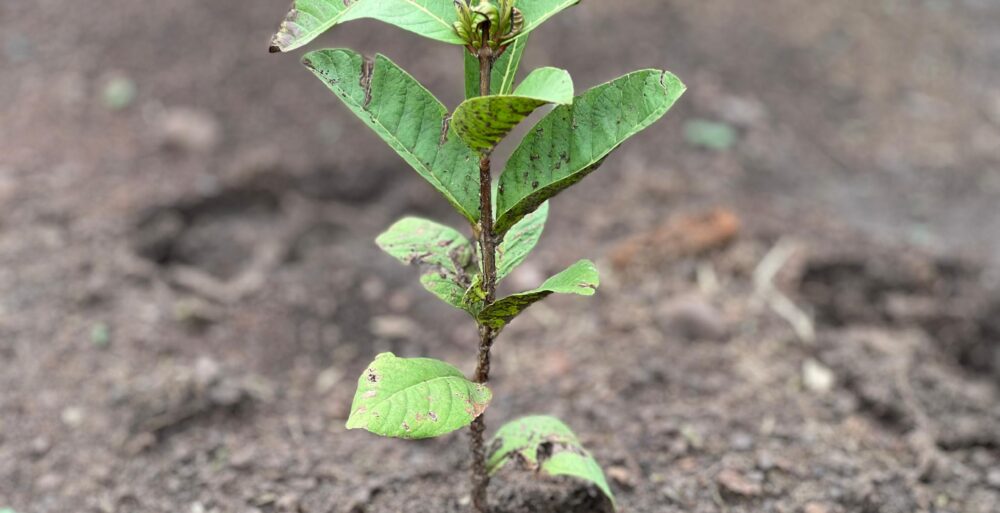 WhatsApp Image 2025-09-25 at 20.59.54_12f3768c